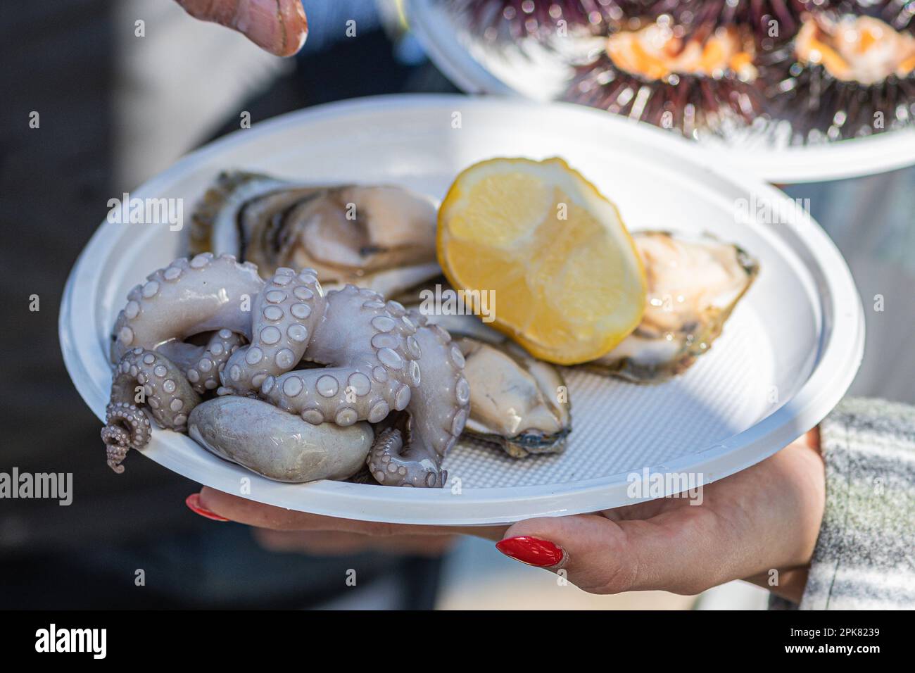 Fresh raw oysters and octopus ready to eat with a lemon in a plate in a street fish market in Bari, Puglia, Italy Stock Photo