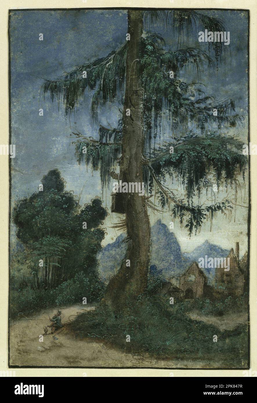 Landscape with spruce circa 1522 by Albrecht Altdorfer Stock Photo