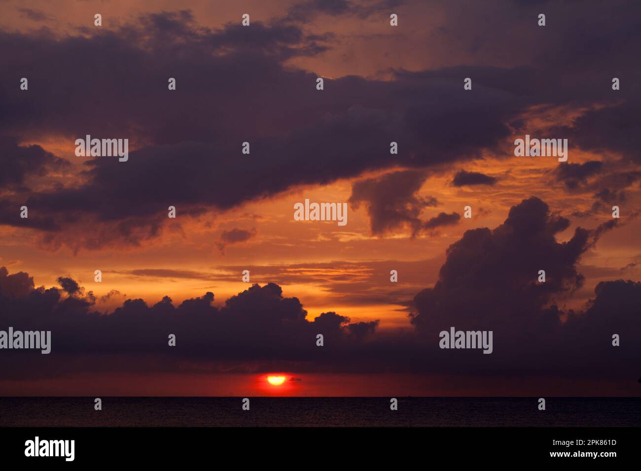 Colorful tropical landscape with dark sunset sky over the ocean ...
