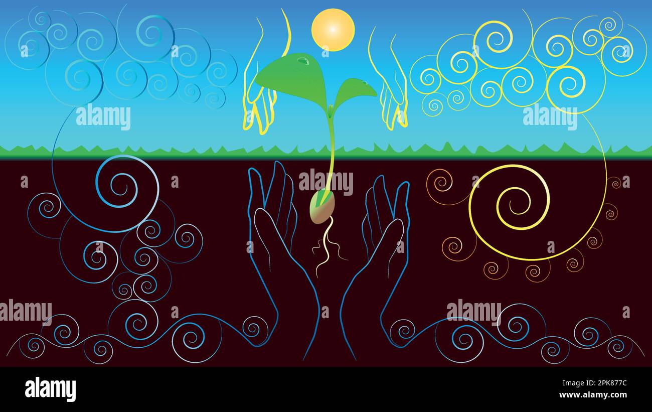 The seed germinates in the soil in the warm rays of the sun and the life-giving moisture of the water. Love of nature Stock Vector