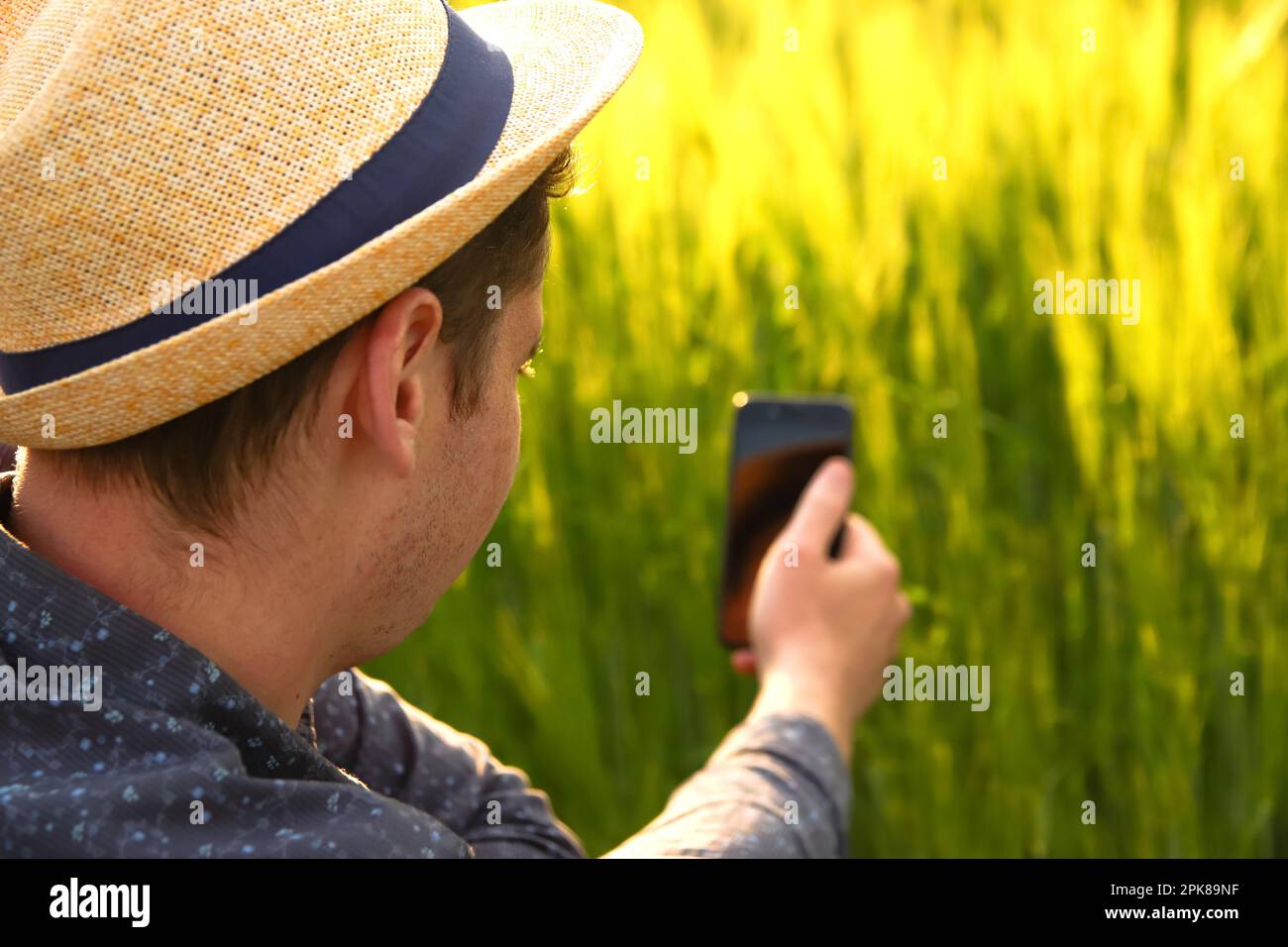 Close up farmer hands inspecting hi-res stock photography and images ...