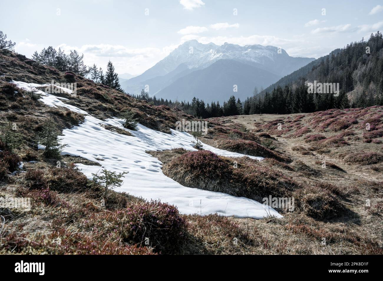 Spring flowers mountain scenery hi-res stock photography and images - Alamy