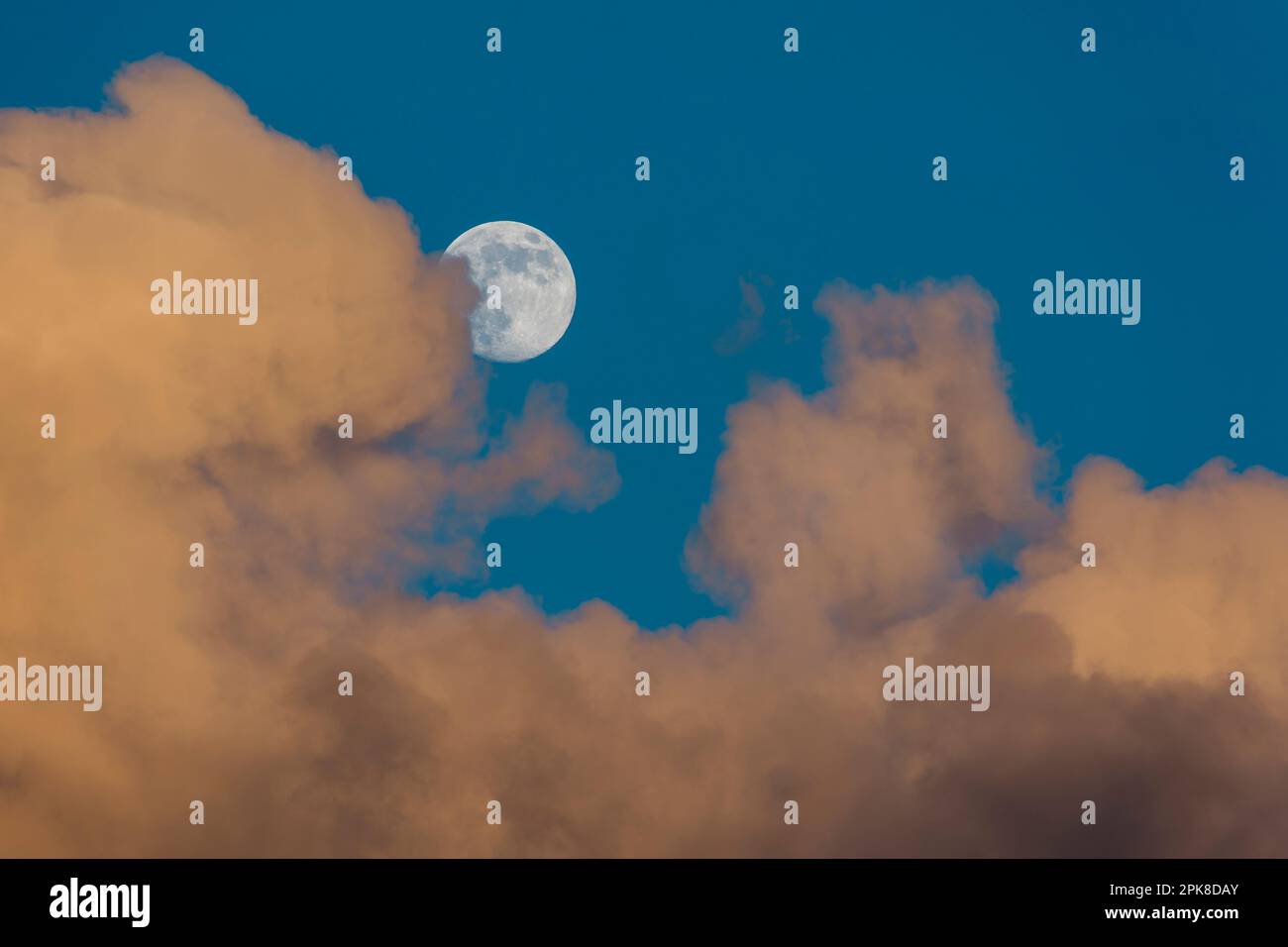 waxing gibbous Moon one day before full Moon rising on deep blue