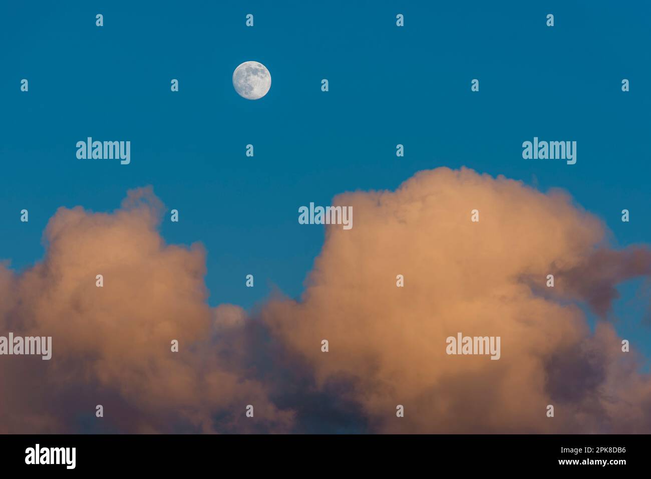 waxing gibbous Moon one day before full Moon rising on deep blue