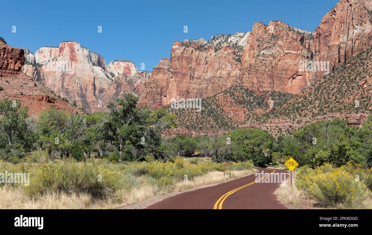 Zion Canyon park road winding through lush vegetation with Cottonwood trees at the foot of steep Navajo Sandstone cliffs towering over the valley Stock Photo