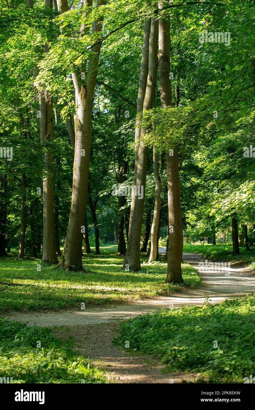 Walking path in the spring park in spring Stock Photo - Alamy