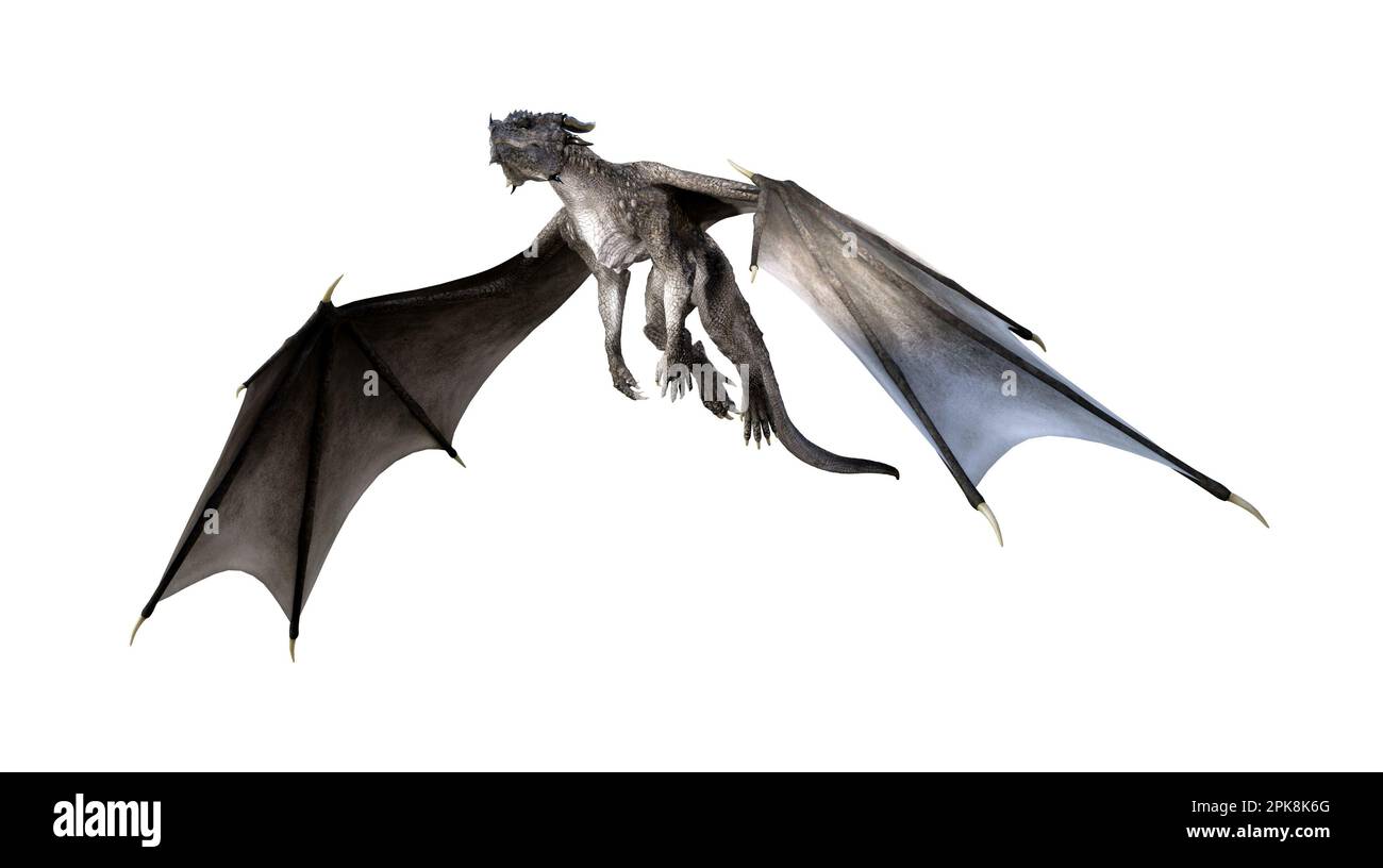 3d illustration of a gray dragon with spread wings flying upward isolated on a white background. Stock Photo