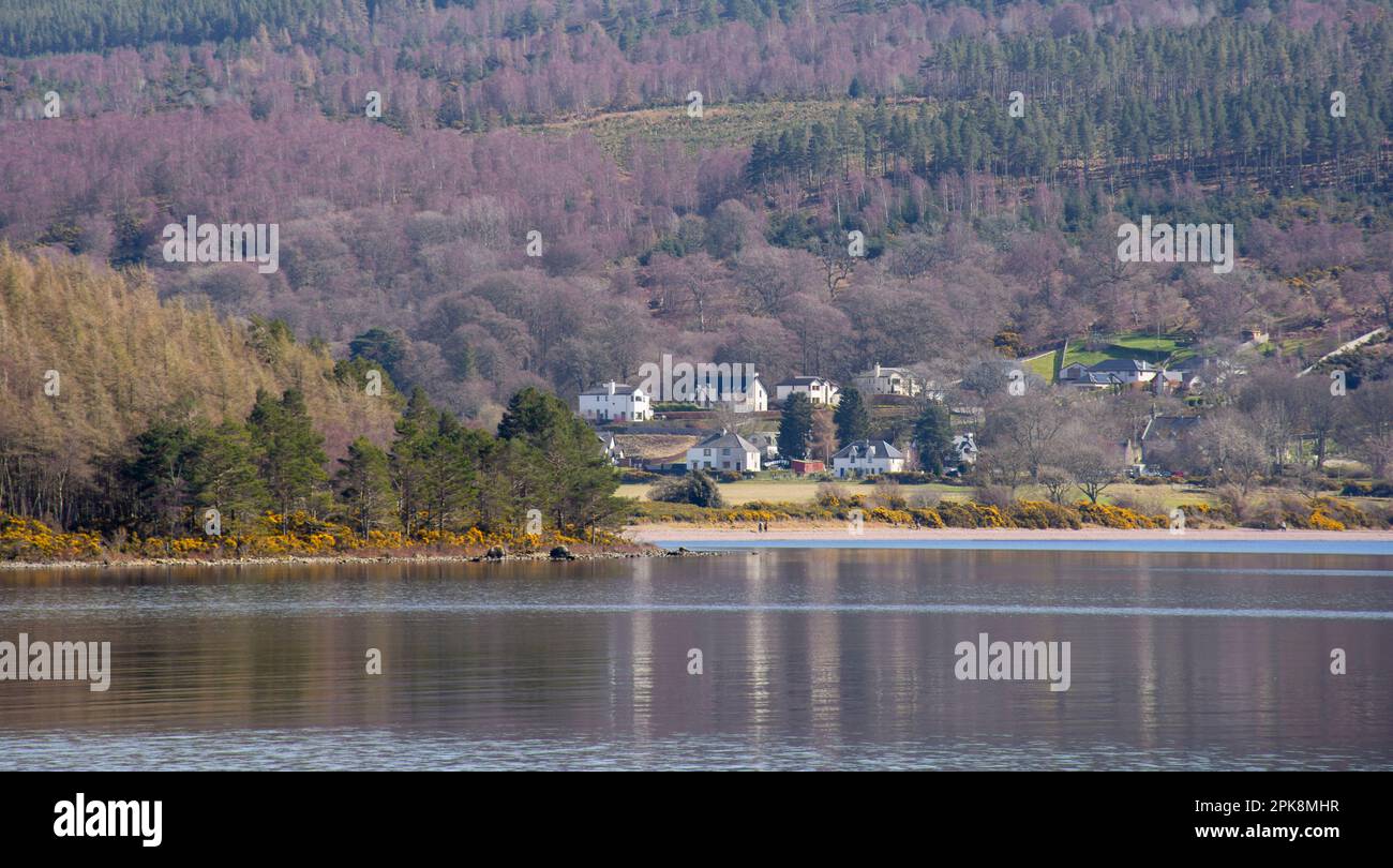 Dores Village houses seen across Loch Ness Scotland Stock Photo Alamy