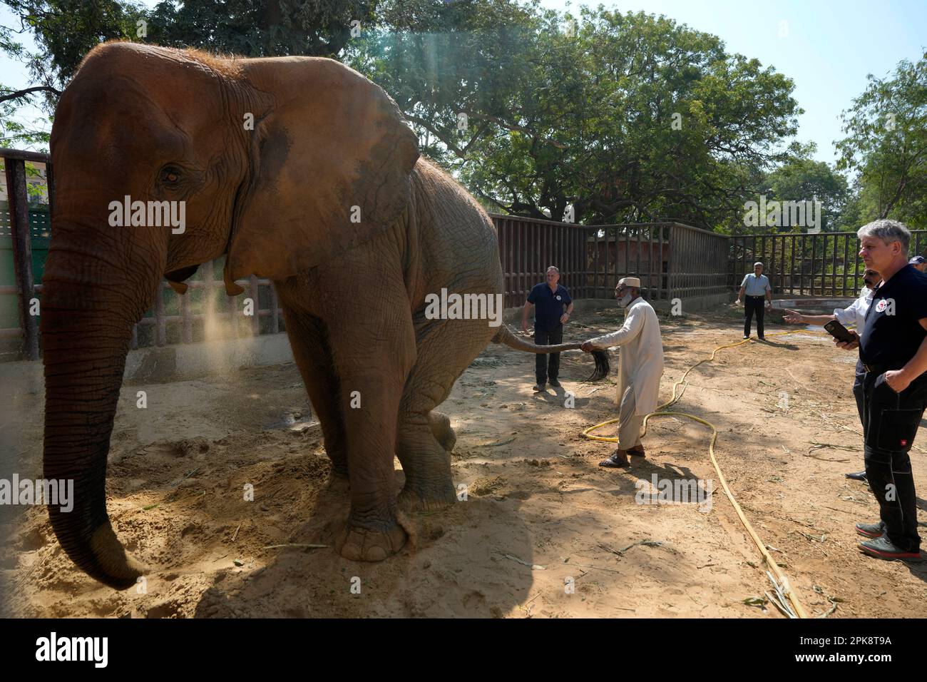 veterinarian-from-the-global-animal-welfare-group-four-paws-observe