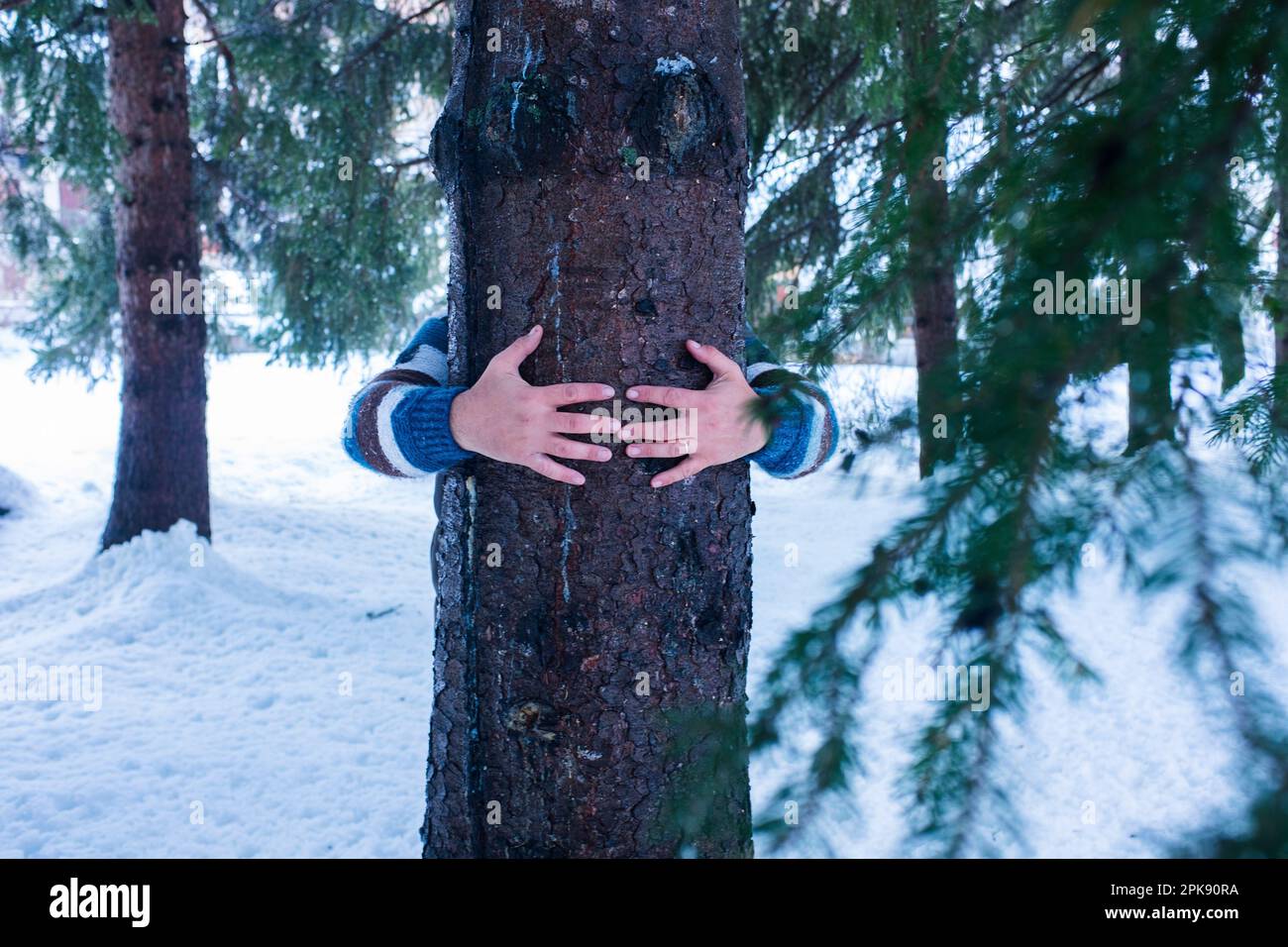 Man, Hands, Detail, Tree, hug, winter Stock Photo