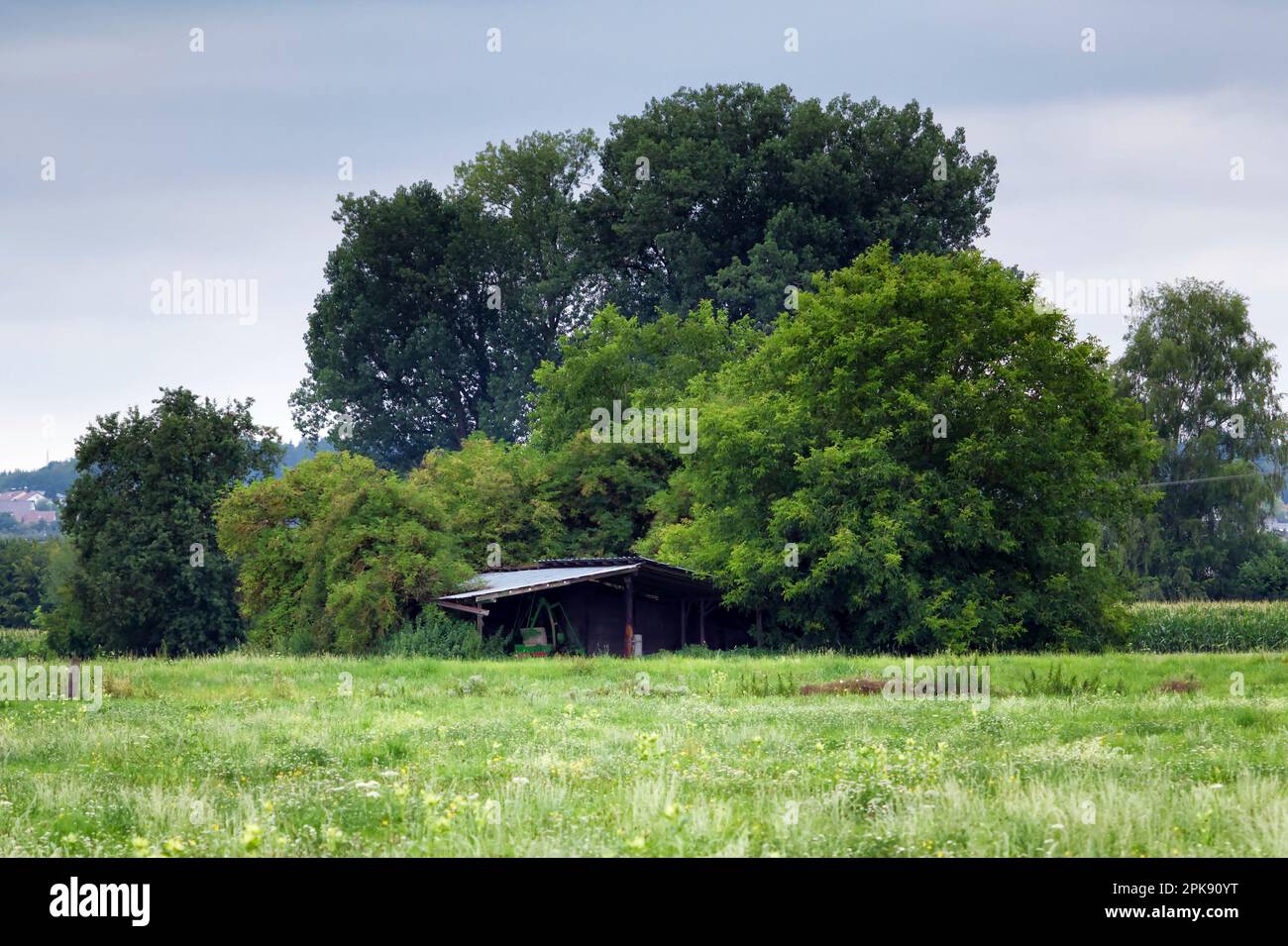 German countryside with open grassland and an old wooden barn Stock Photo