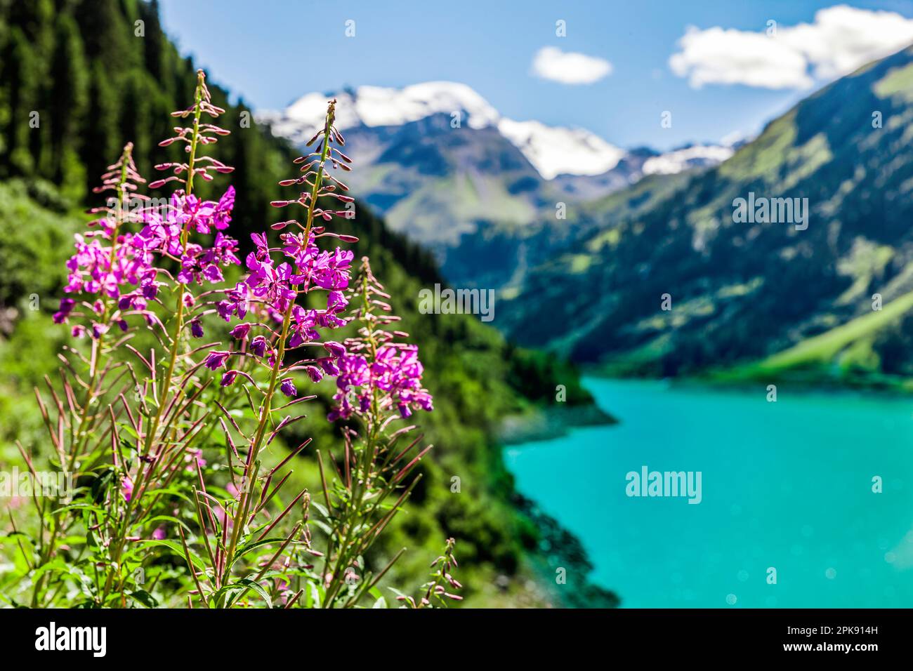 Schwarzenbergscher Schwemmkanal on the Austrian-Czech border in St. Oswald  near Haslach Stock Photo - Alamy