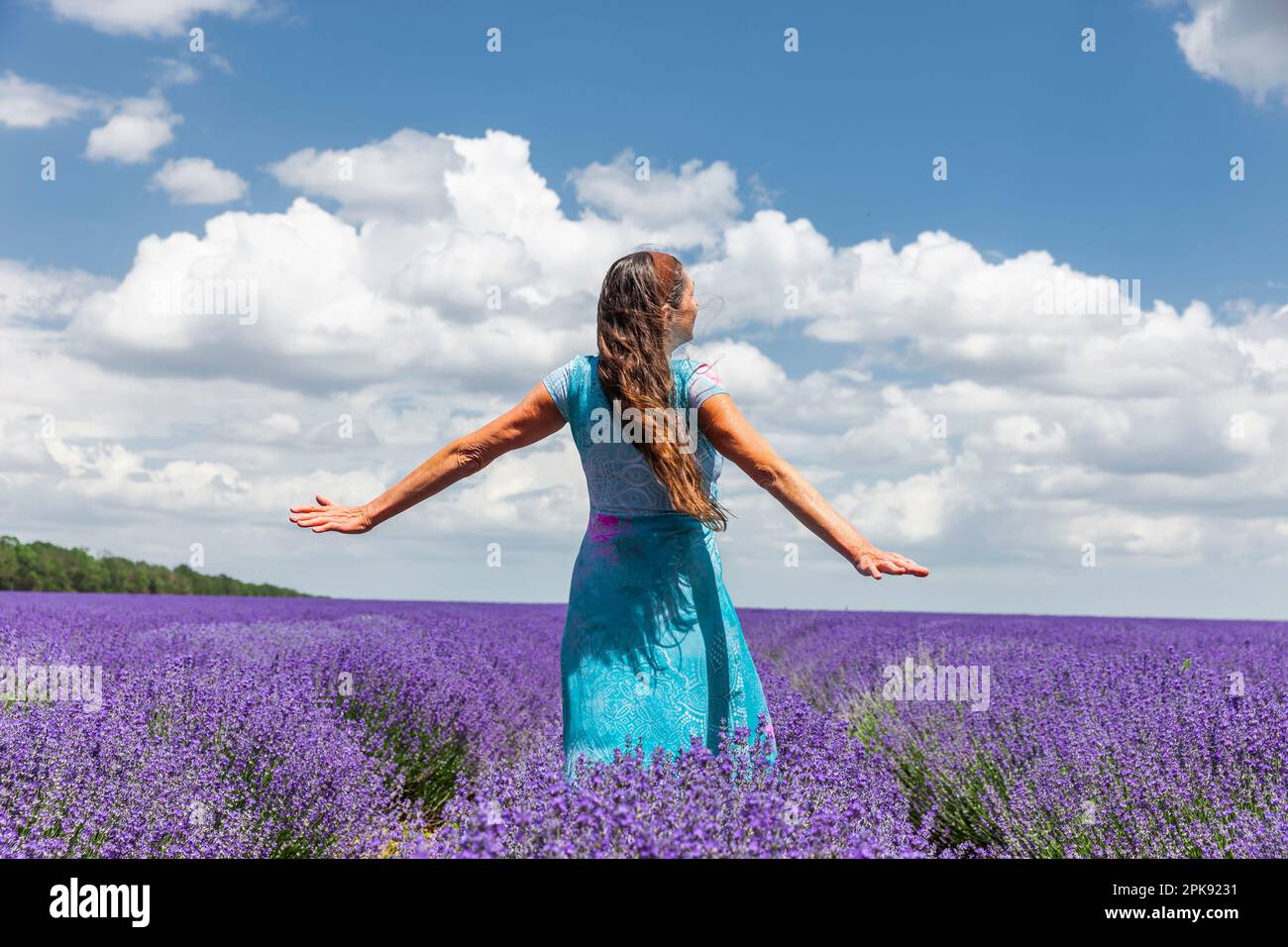 Happy woman in a flowering lavender field in summer Stock Photo