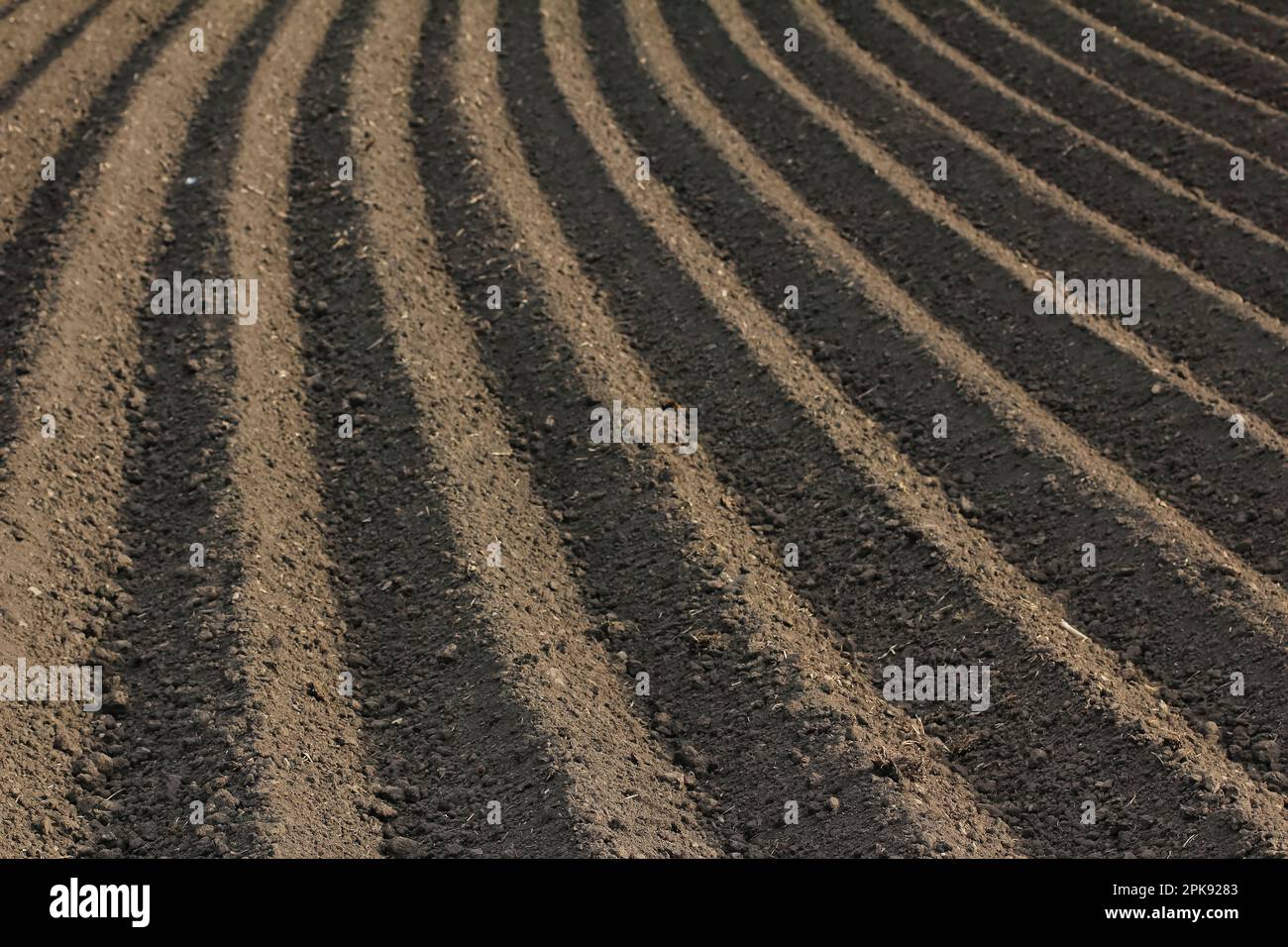 Furrows in a fertile and freshly plowed field during sowing period Stock Photo