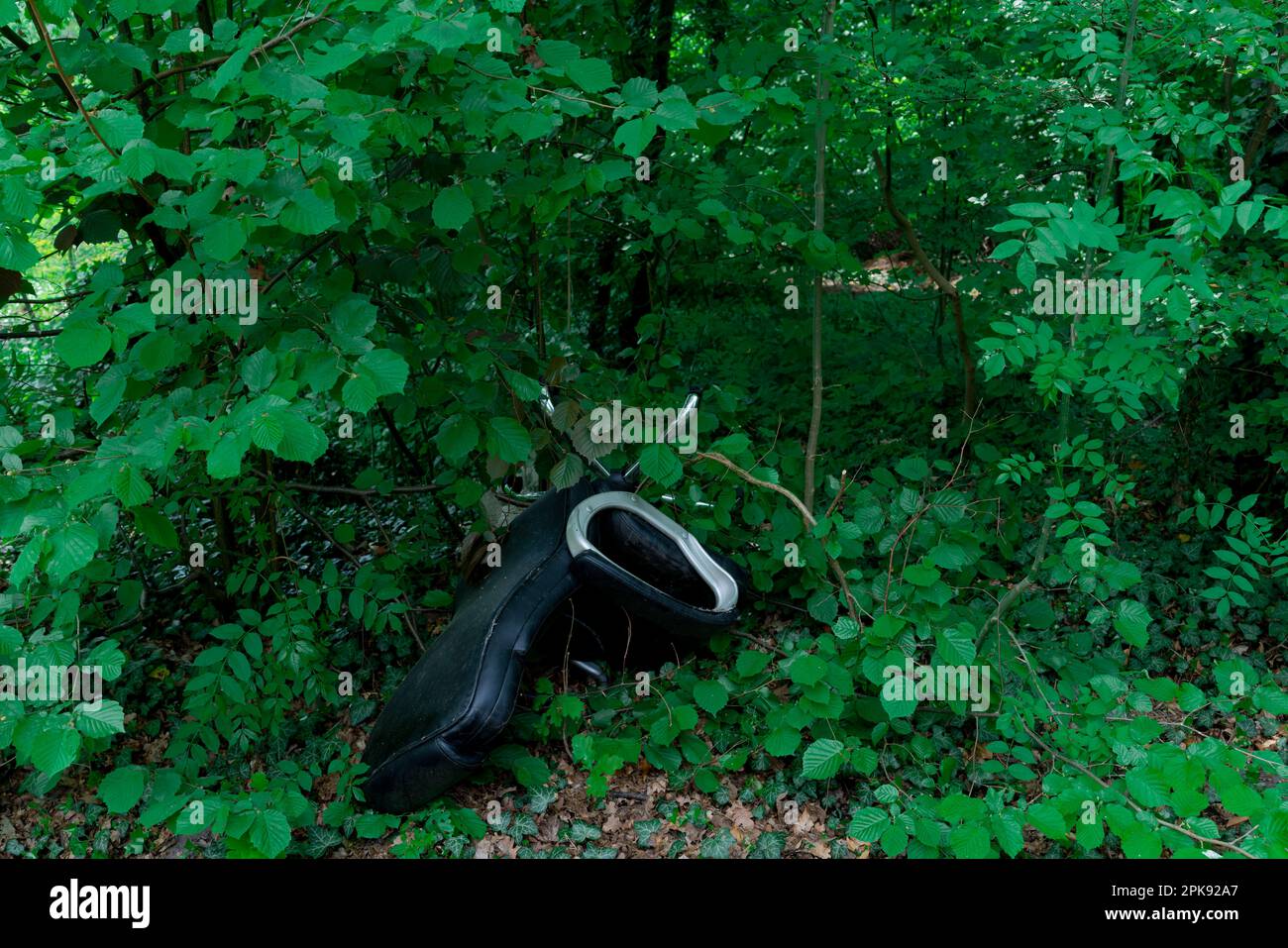 Pollution, illegally disposed black office swivel chair in a forest Stock Photo
