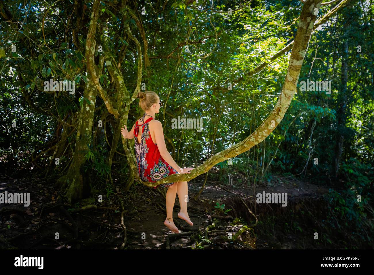 Young pretty woman in Roberto Barrios cascadas park, sitting on a tree, Palenque in Mexico. Vivid landscape photo with lush green during sunny day. Stock Photo