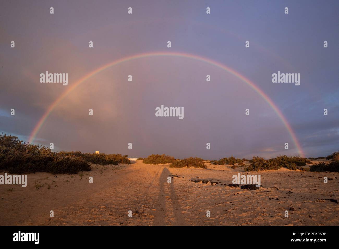 Rainbow over sand dunes. Corralejo National Park in the morning, Las Palmas Province, Fuerteventura, Canary Islands, Spain Stock Photo