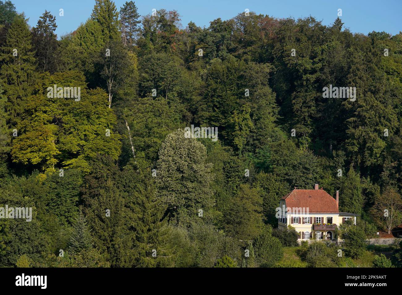 Germany, Bavaria, Upper Bavaria, Altötting district, villa, old building, hipped roof, shutters, single, edge of forest, trees, bushes Stock Photo