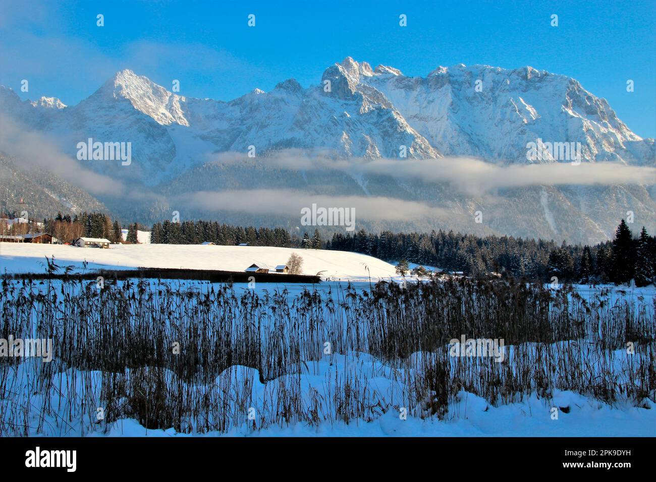 Winter walk at the Schmalensee near Mittenwald, lake, reeds, grasses, winter landscape in the moguls, Europe, Germany, Bavaria, Upper Bavaria, Werdenf Stock Photo