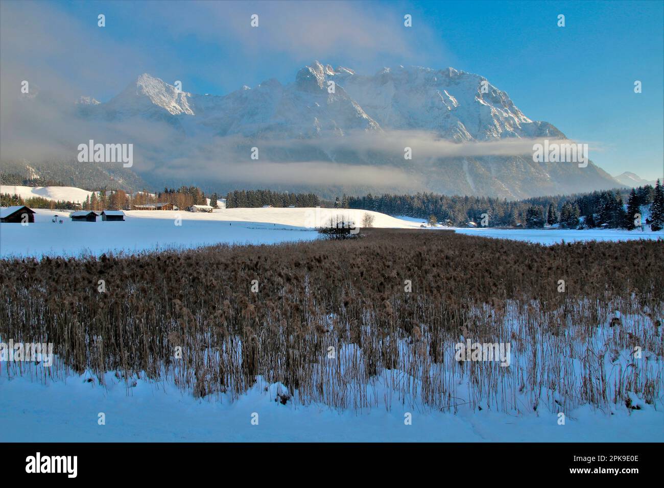 Winter walk at the Schmalensee near Mittenwald, lake, reeds, grasses, winter landscape in the moguls, Europe, Germany, Bavaria, Upper Bavaria, Werdenf Stock Photo