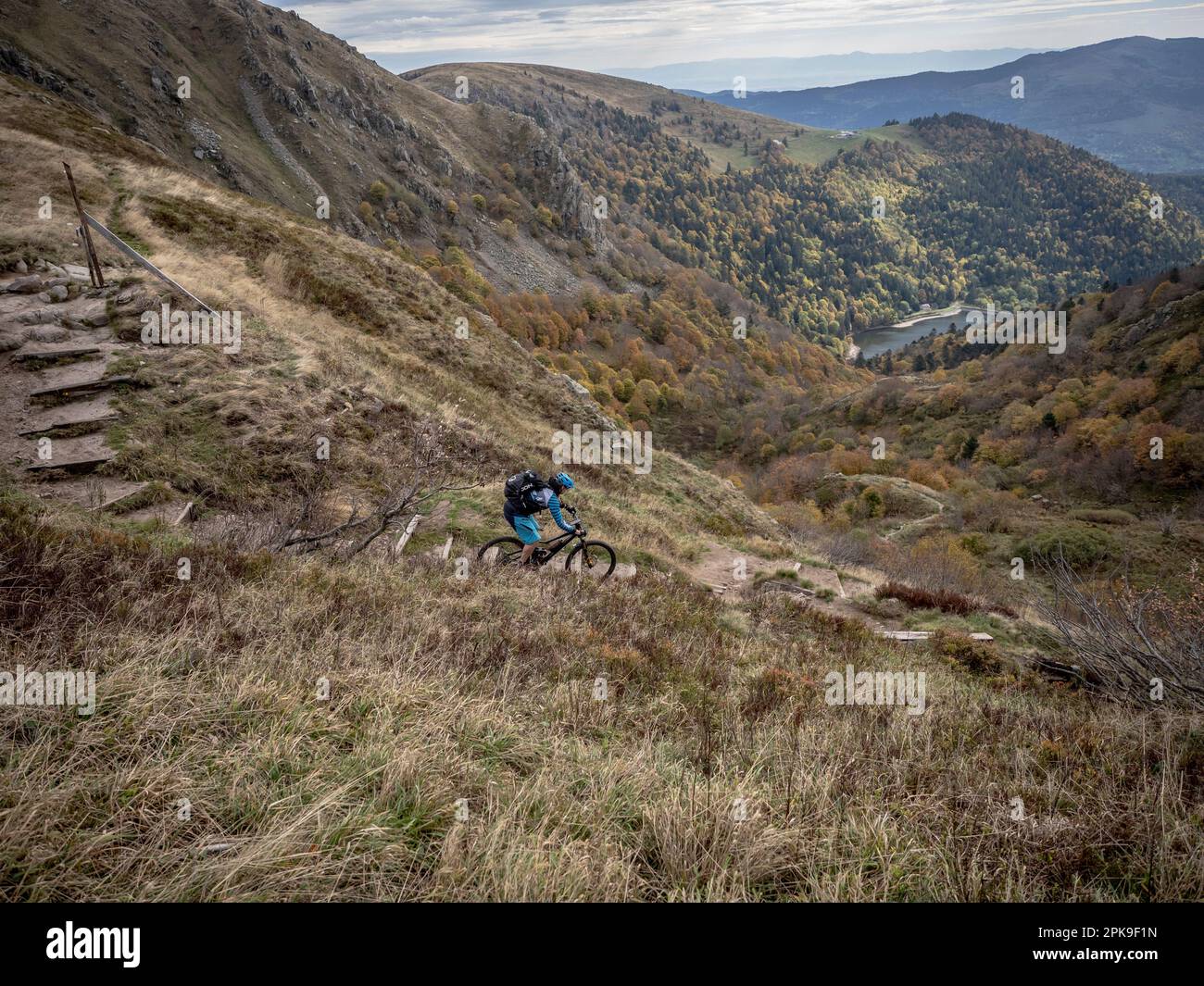 Climachx online