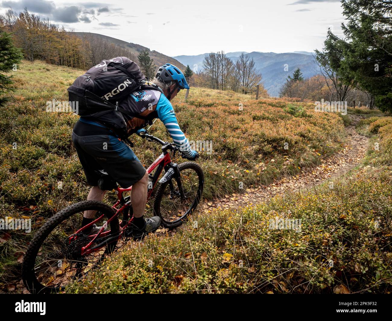 Mountain biker on trail near Le Rainkopf. Stock Photo