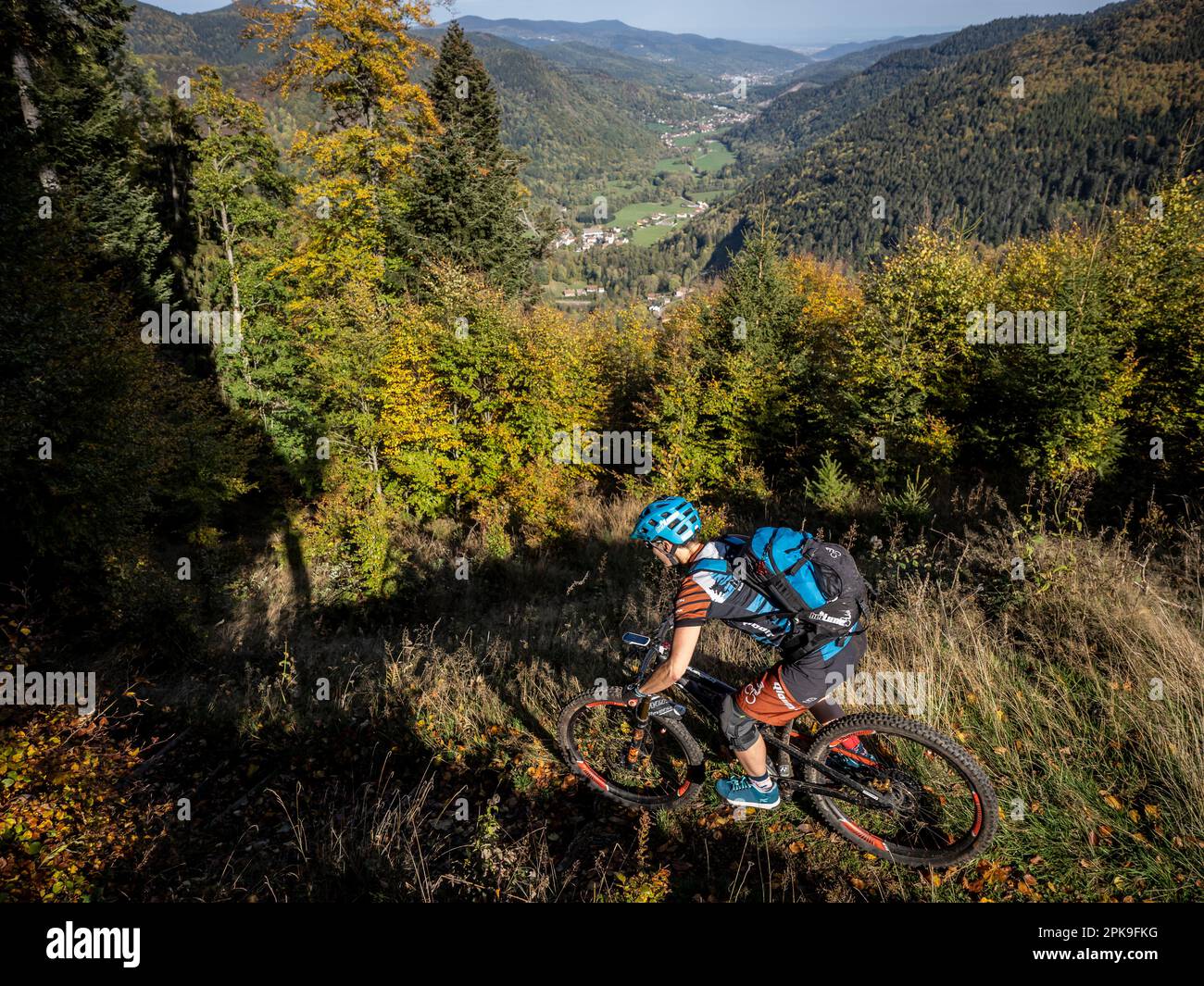 Mountain biker on single trail in the High Vosges. Downhill to Mittlach Stock Photo