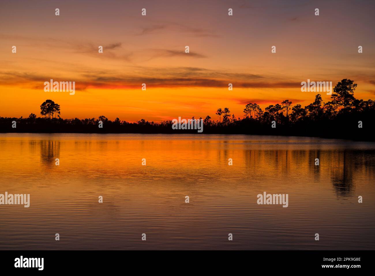 Sunset at Pine Glades Lake, The Everglades National Park, Florida, USA Stock Photo