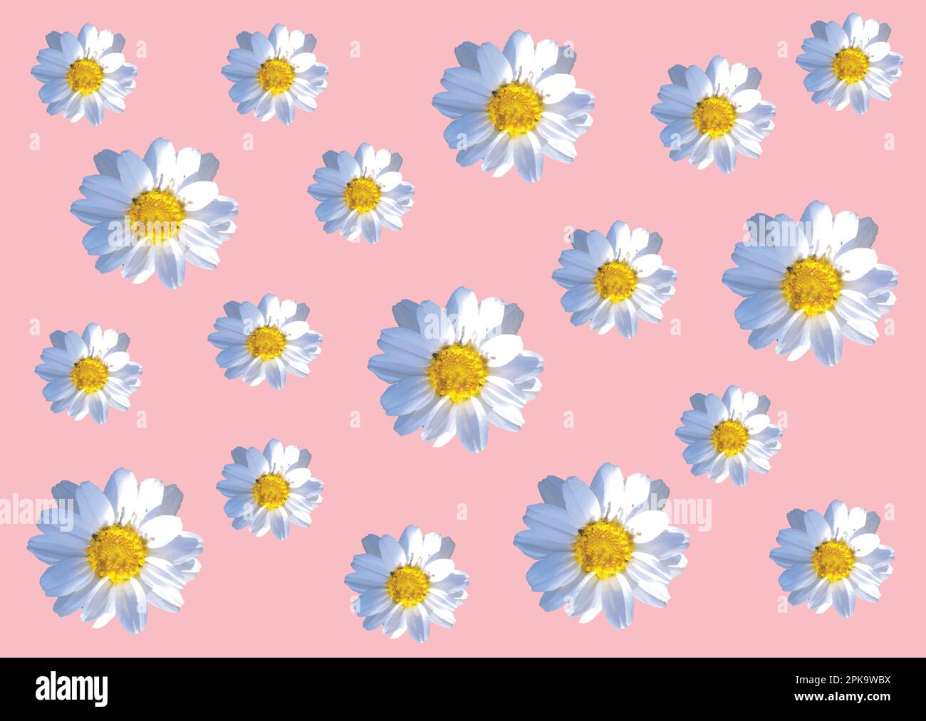 Floral seamless repeat pattern. Flower vector illustration. Beautiful surface pattern trendy minimal romantic textile fashion print. Feminine Elegant Stock Vector
