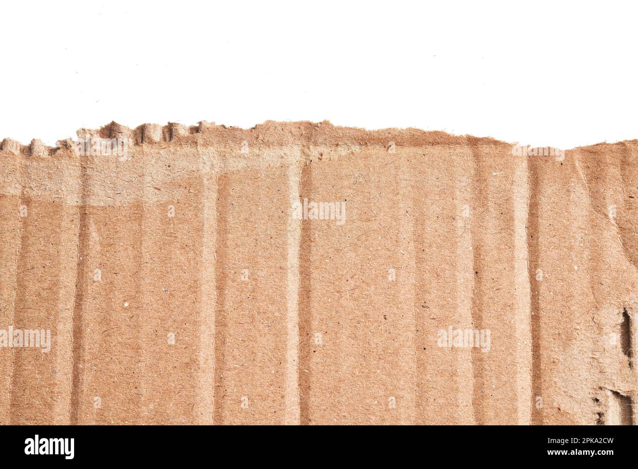 One ripped piece of cardboard material over isolated white background ...