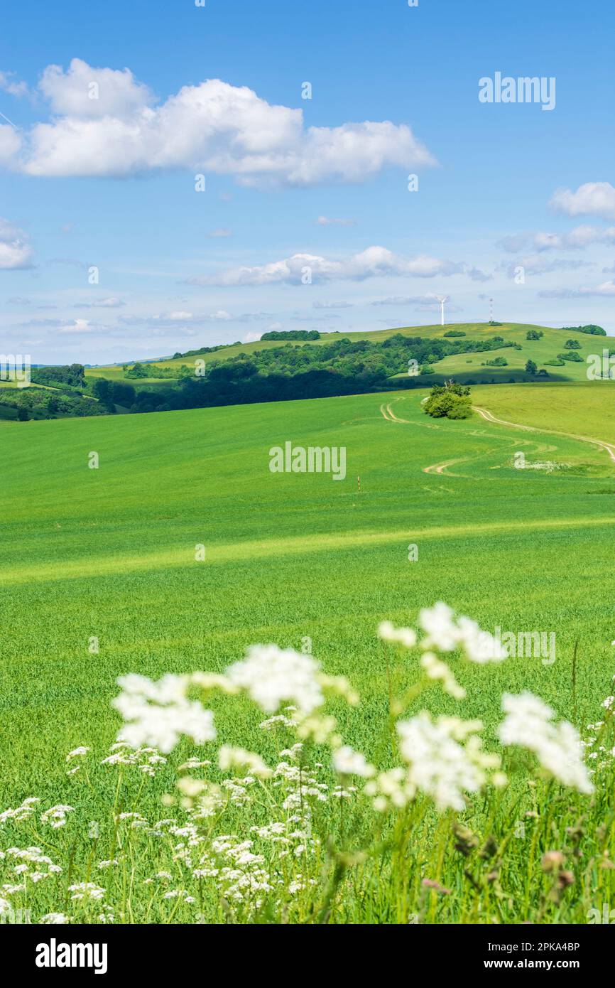 Vrbovce, hills of White Carpathians (Biele Karpaty), field in White Carpathians (Biele Karpaty), Slovakia Stock Photo