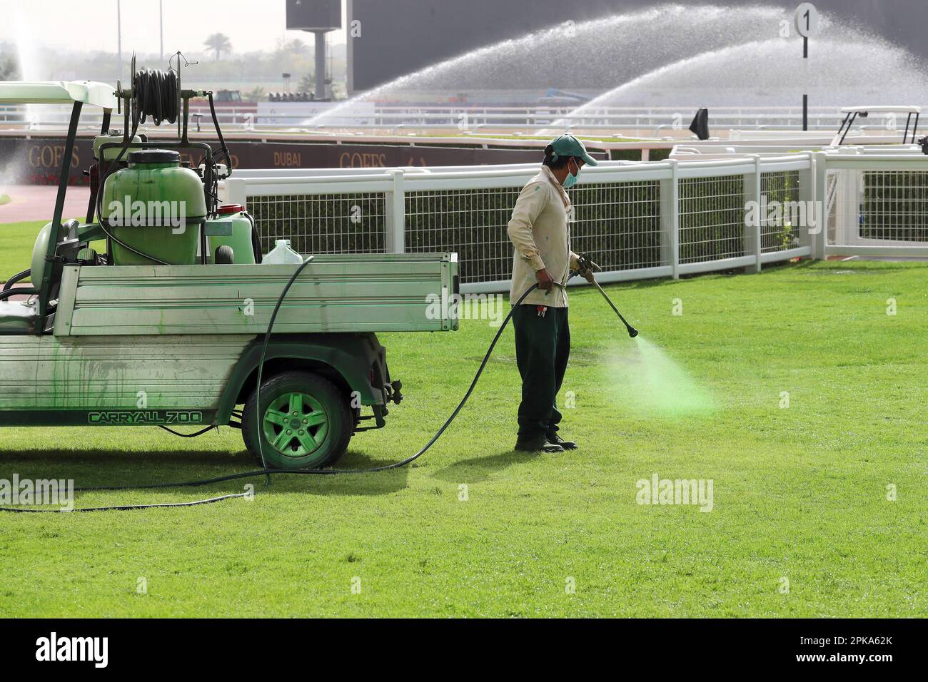 24.03.2022, United Arab Emirates, , Dubai - Man spraying withered lawn with green paint. 00S220324D139CAROEX.JPG [MODEL RELEASE: NO, PROPERTY RELEASE: Stock Photo