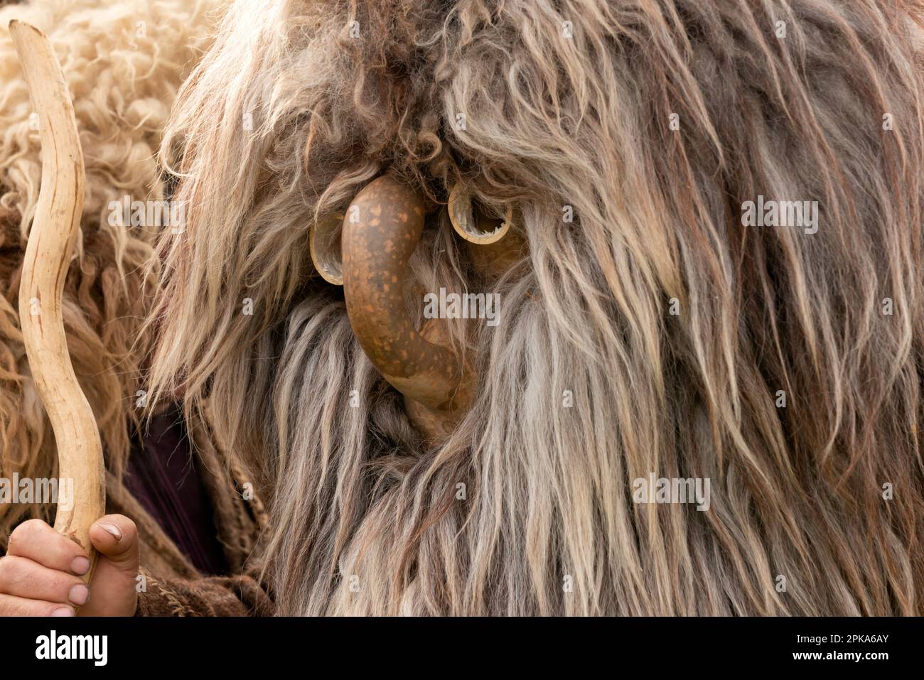 Close view of Kukeri dancer with goat hair mask at the annual Simitlia winter festival in Simitli, Bulgaria Stock Photo