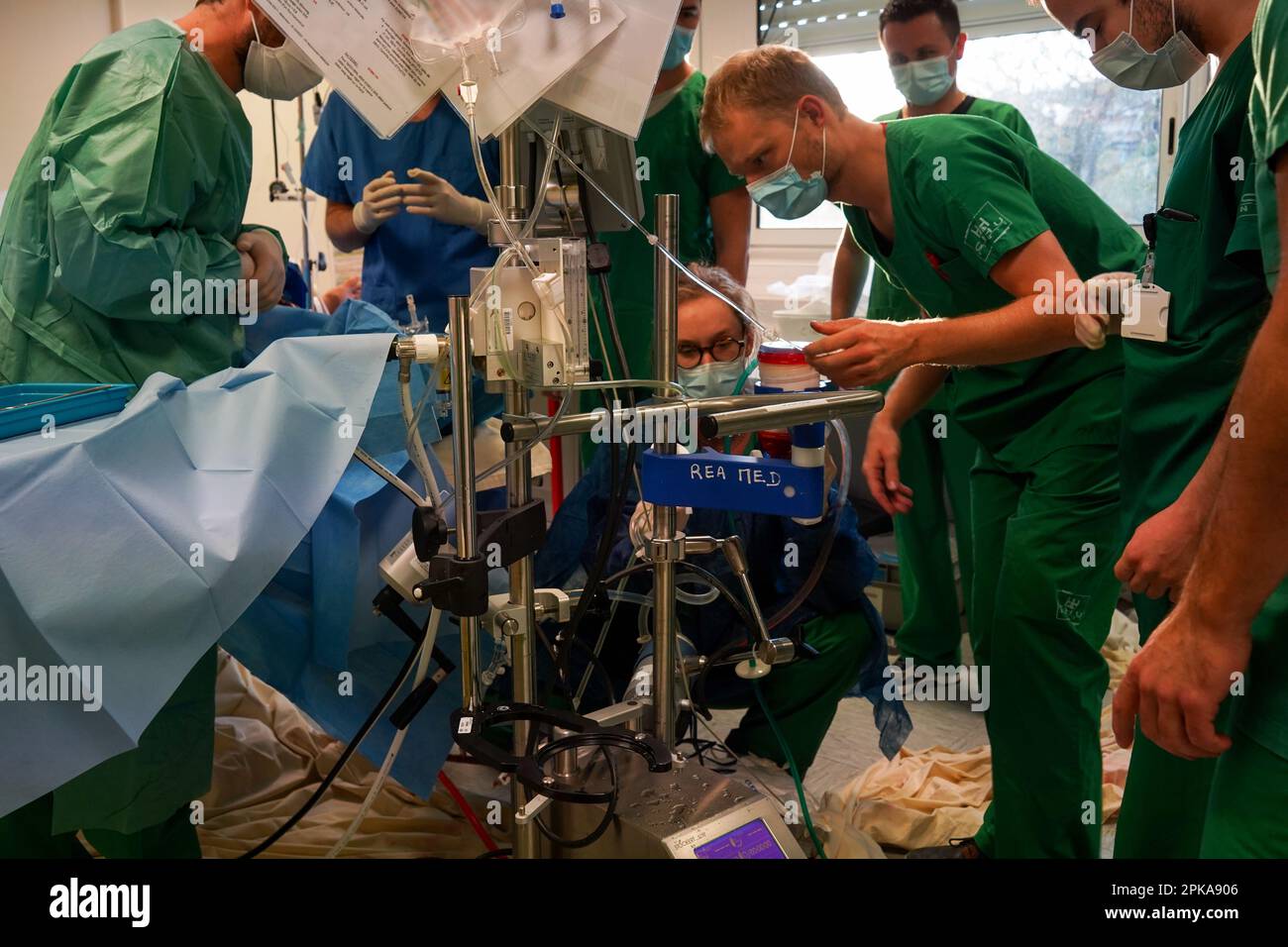 Training of medical interns in the ECMO technique, Extracorporeal Membrane Oxygenation. Stock Photo