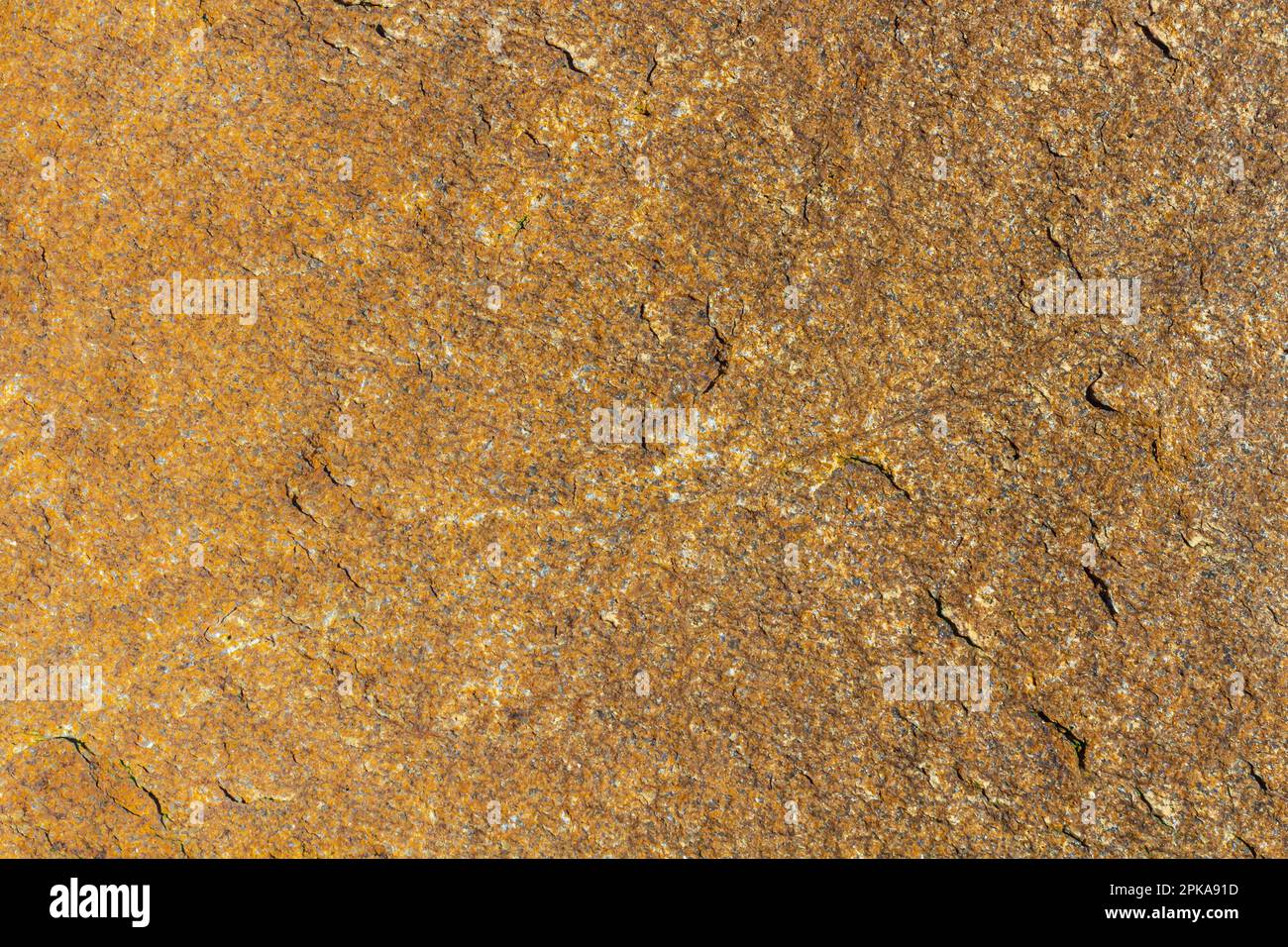 gray construction paper texture Stock Photo - Alamy