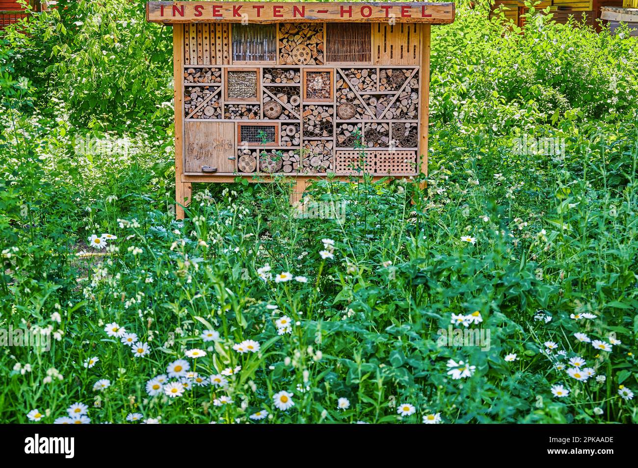 View to an insect hotel made of different materials to offer a retreat