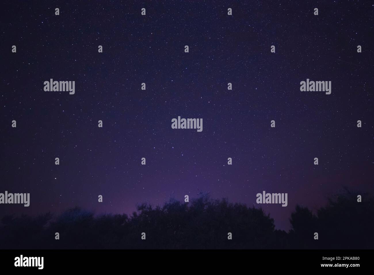 Night sky with trees hi-res stock photography and images - Alamy