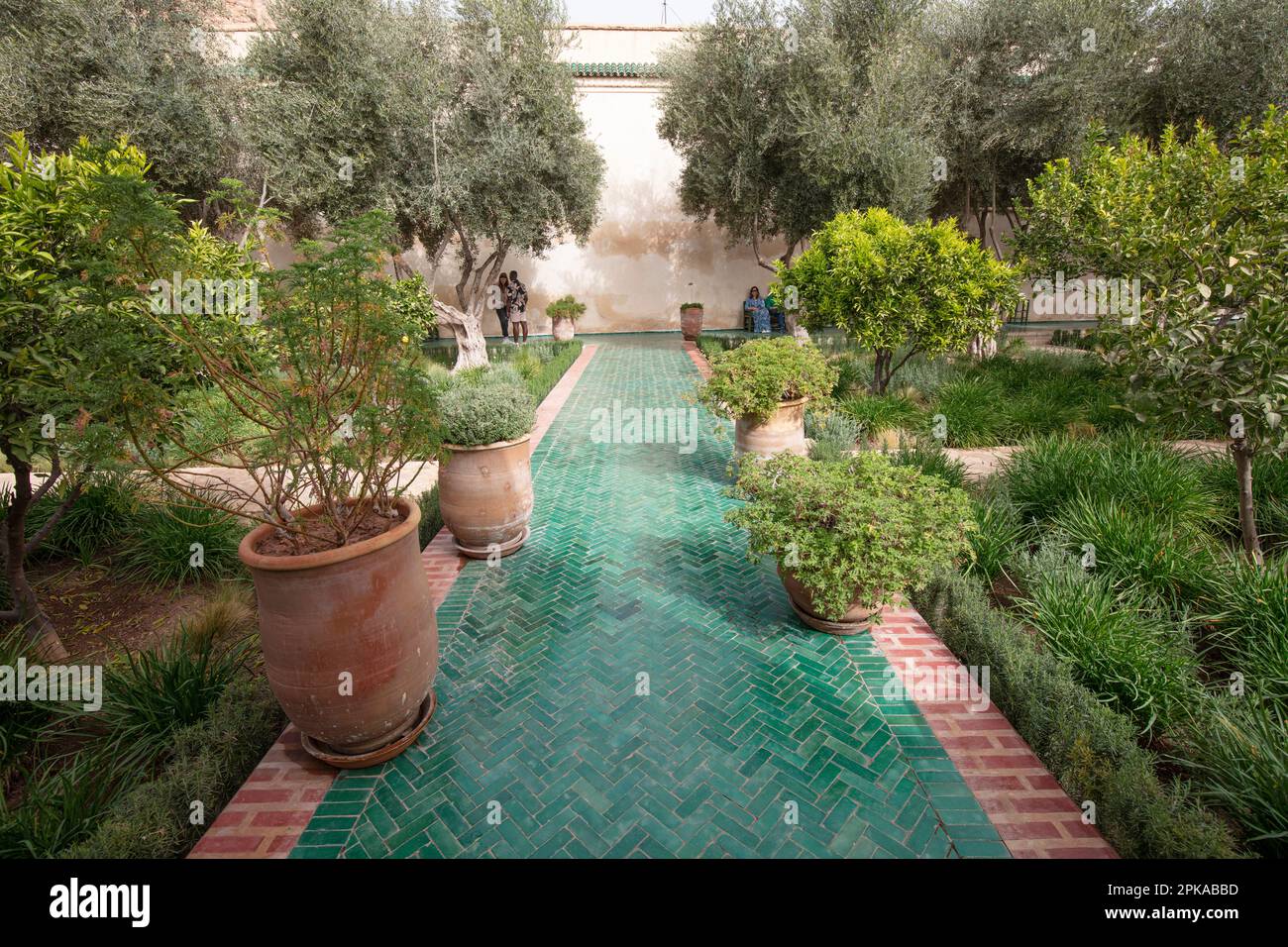 Morocco, Marrakech, Secret Garden (Le Jardin Secret) Stock Photo