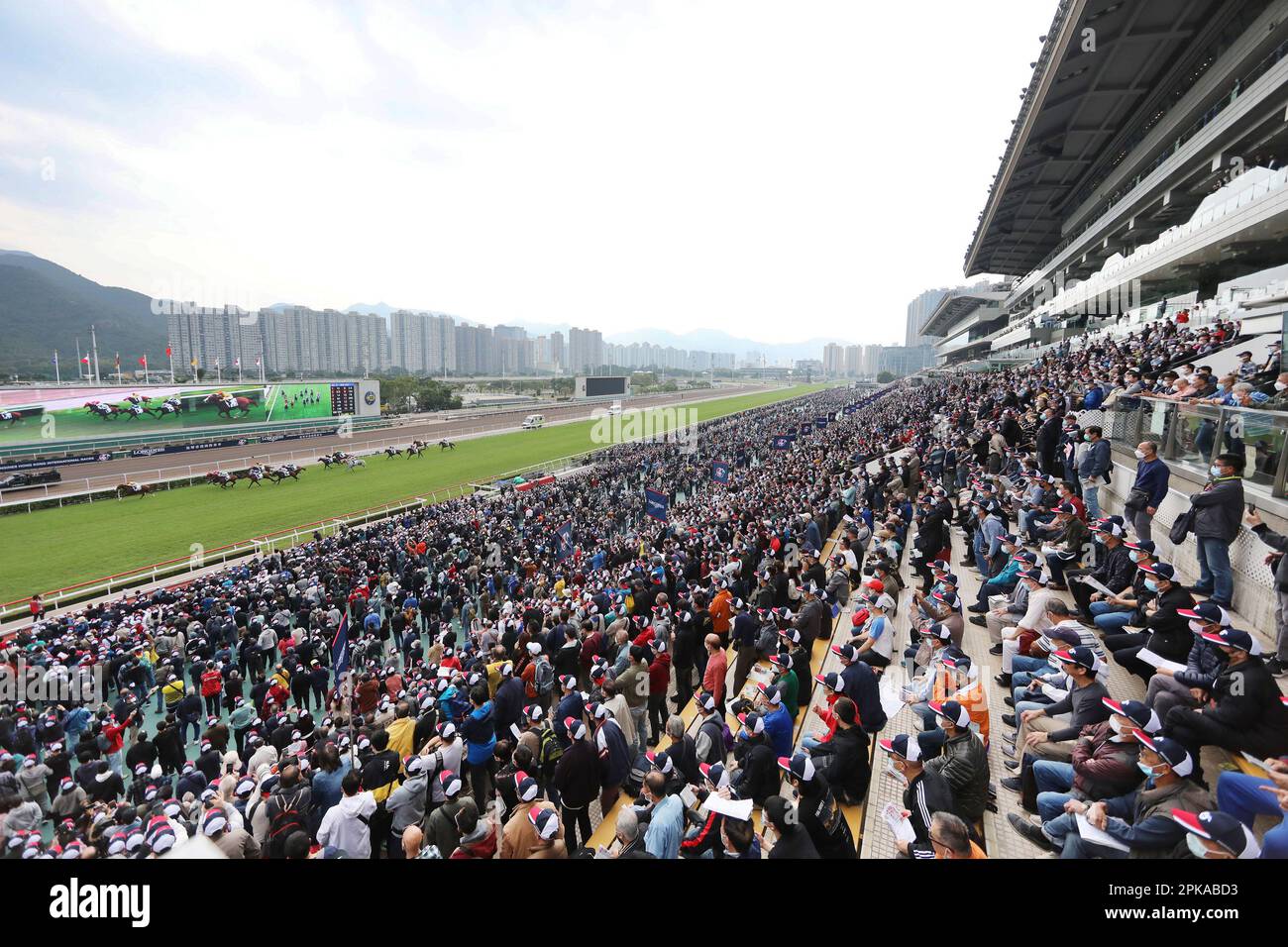 11.12.2022, China, Hong Kong, Hong Kong - People at the Sha Tin racecourse. 00S221211D820CAROEX.JPG [MODEL RELEASE: NO, PROPERTY RELEASE: NO (c) caro Stock Photo