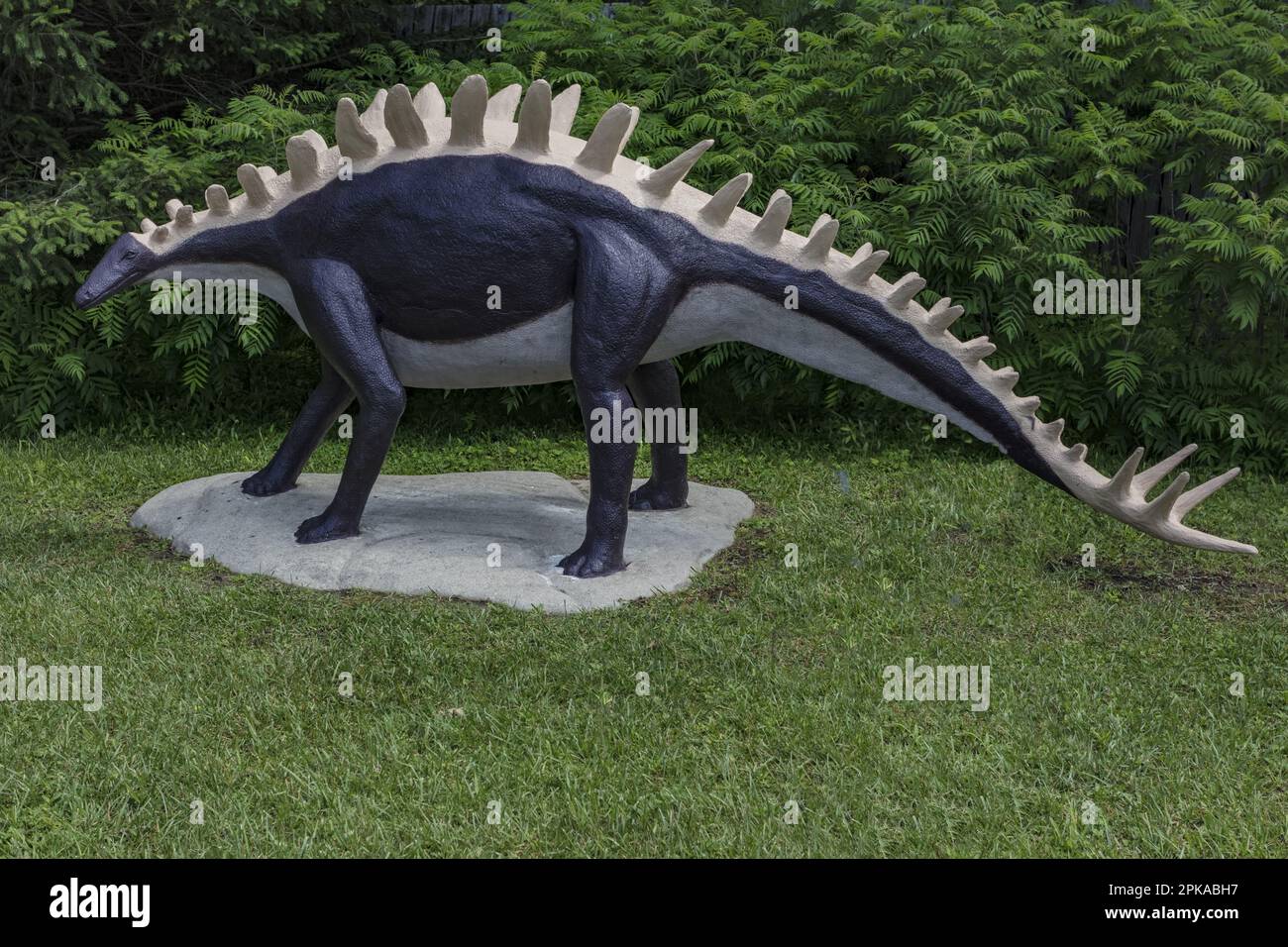 Prehistoric World in Eastern Ontario, Canada, is a multi-acre outdoor attraction that features over 50 life-sized models. Stock Photo