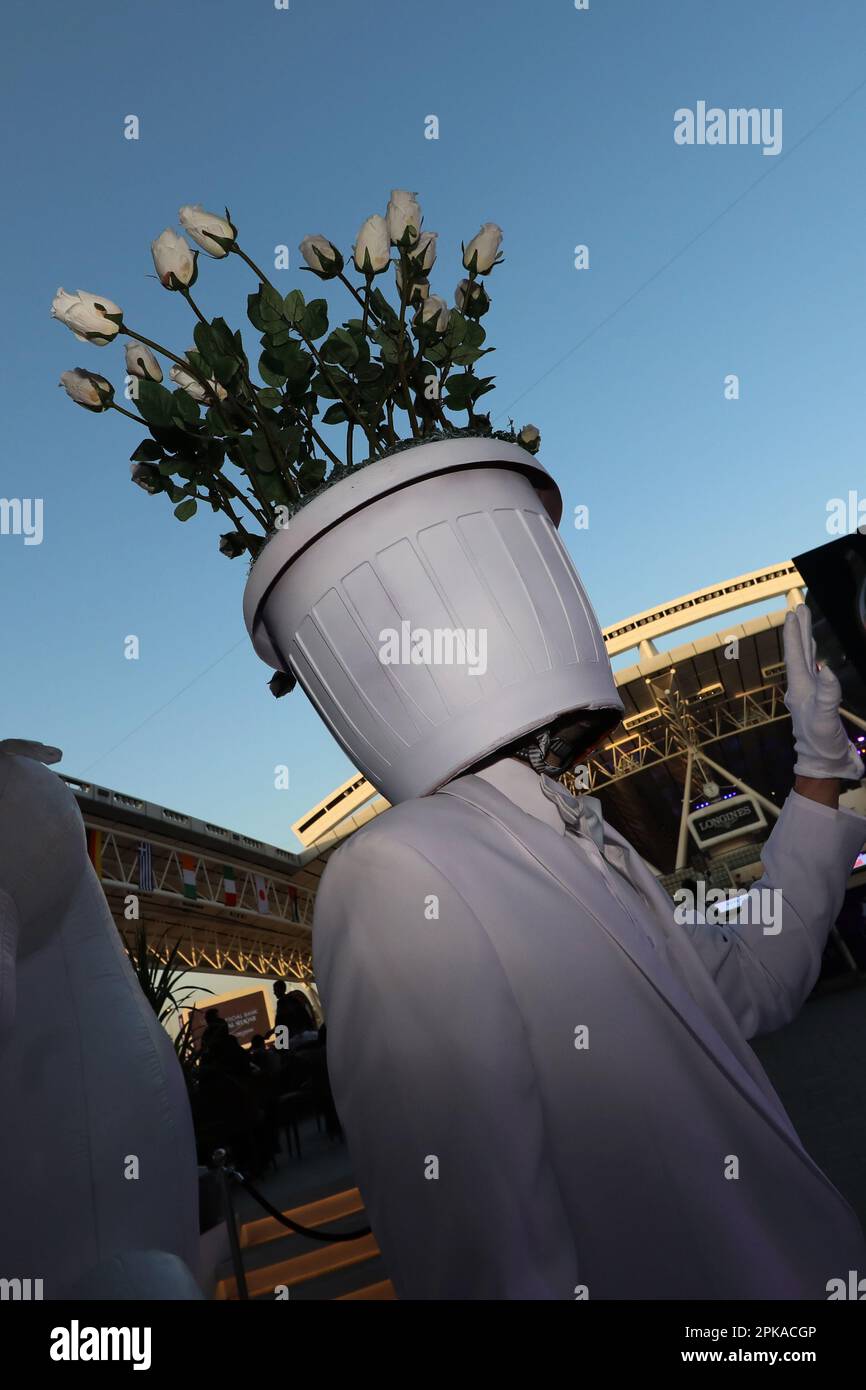 23.02.2023, Qatar, , Doha - Man carrying a flowerpot with white roses on his head. 00S230223D308CAROEX.JPG [MODEL RELEASE: YES, PROPERTY RELEASE: NO ( Stock Photo
