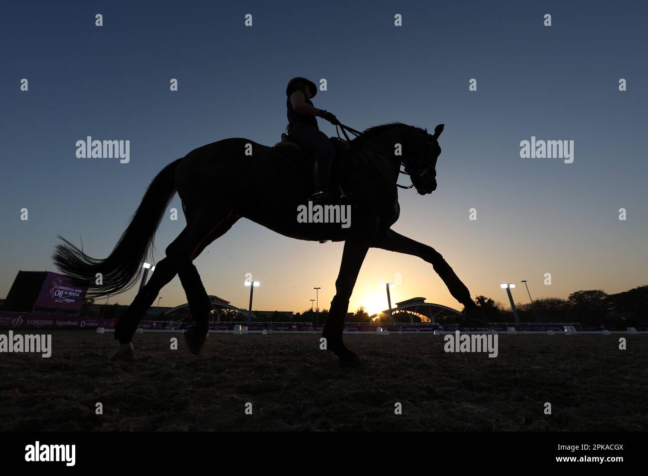 23.02.2023, Qatar, , Doha - Silhouette: Rider and horse during morning ...
