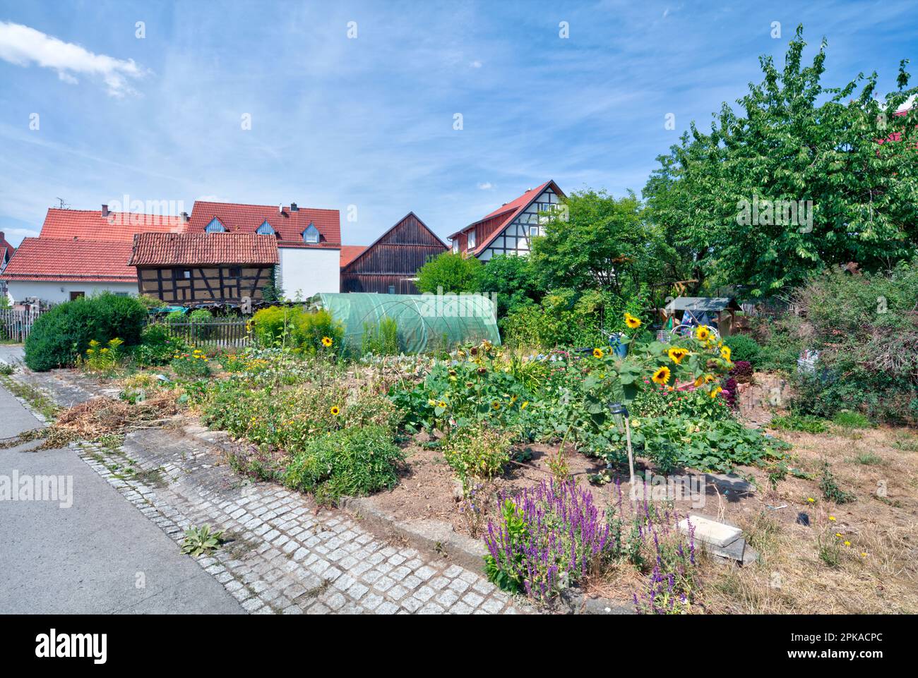 Halftimbered house, garden, architecture, village view, Sondheim