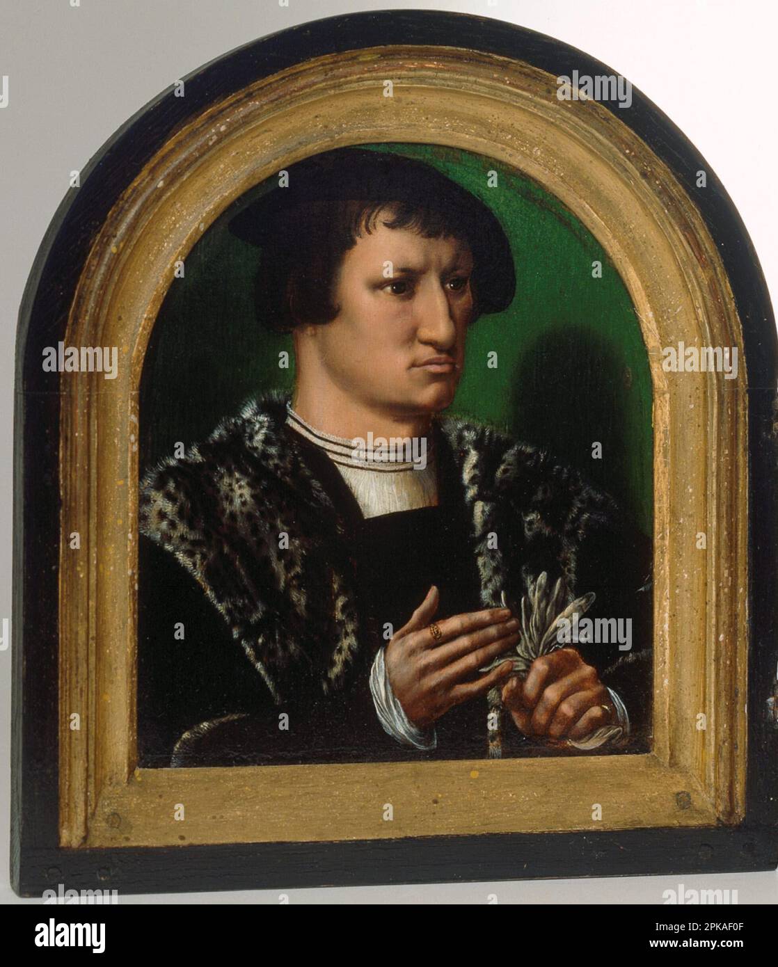 Portraits of Cornelius Duplicius de Scheppere and his wife Elizabeth Donche circa 1540 by Ambrosius Benson Stock Photo