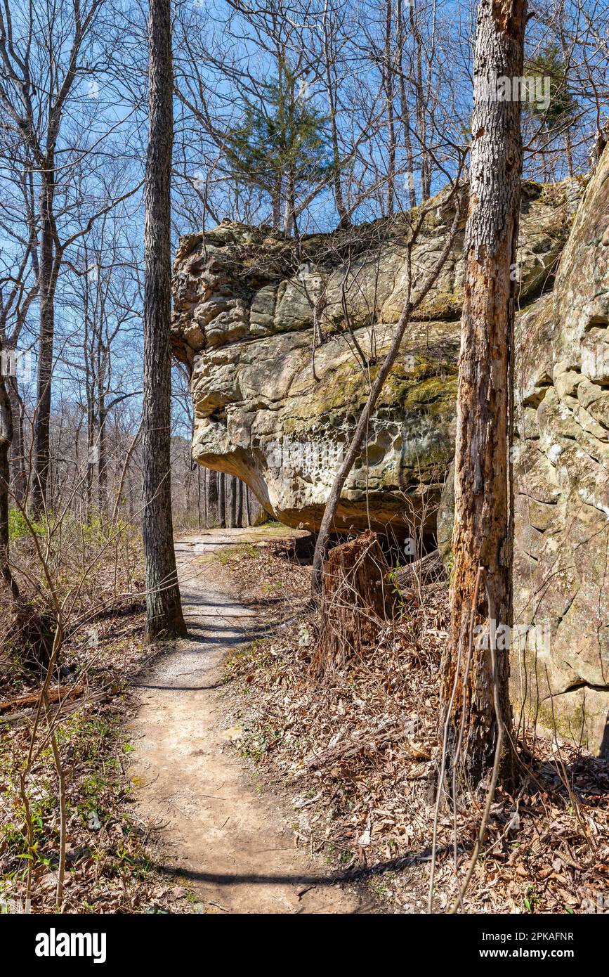 Trails and bluffs on the Indian Creek Nature Trail. Giant City state