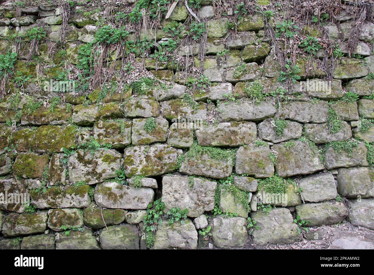 Background with old stone wall and vegetation Stock Photo - Alamy