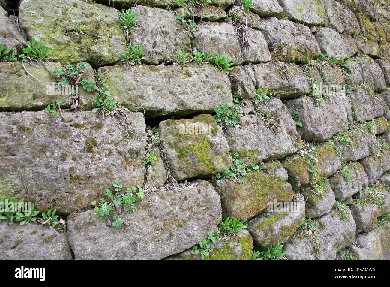 Background with old stone wall and vegetation Stock Photo - Alamy