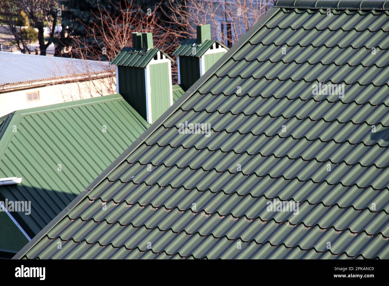 The house, the roof of which is covered with metal tiles Stock Photo
