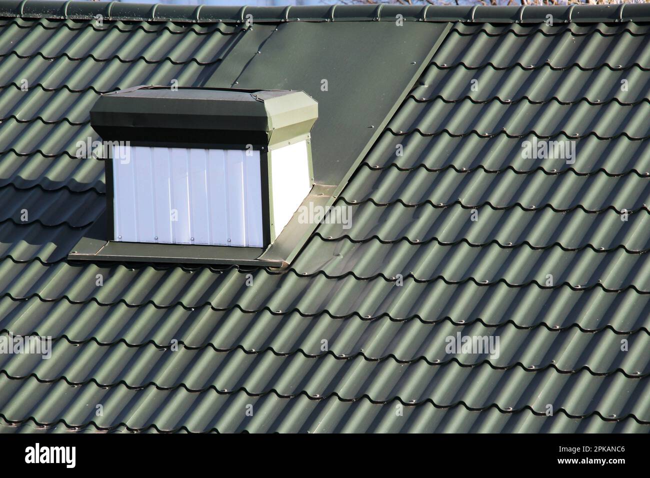The house, the roof of which is covered with metal tiles Stock Photo