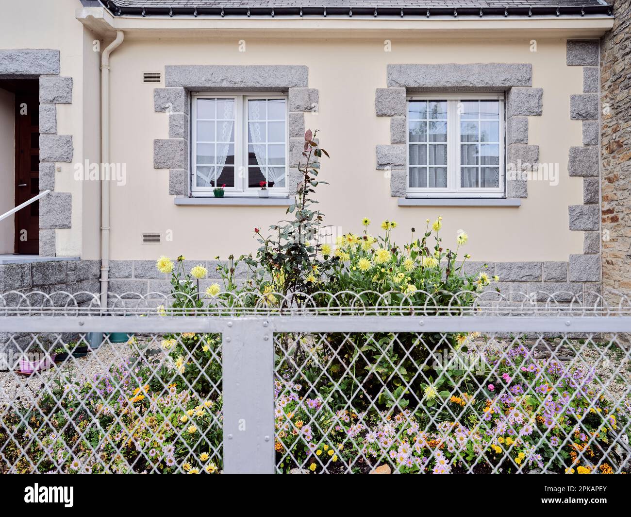 A house in Ploërmel with a front garden where dahlias, asters and student flowers are in full bloom - Departement, Morbihan, Brittany, France Stock Photo